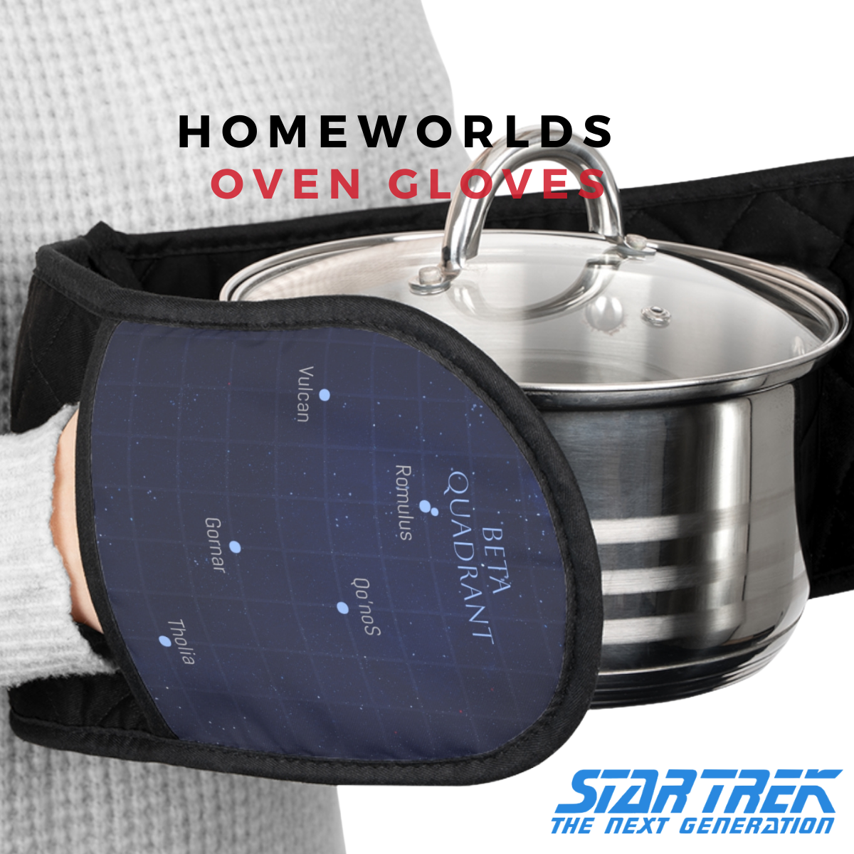 Alpha-Beta Quadrant Oven Gloves